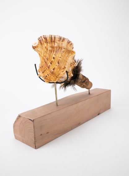Pūtātara on Stand