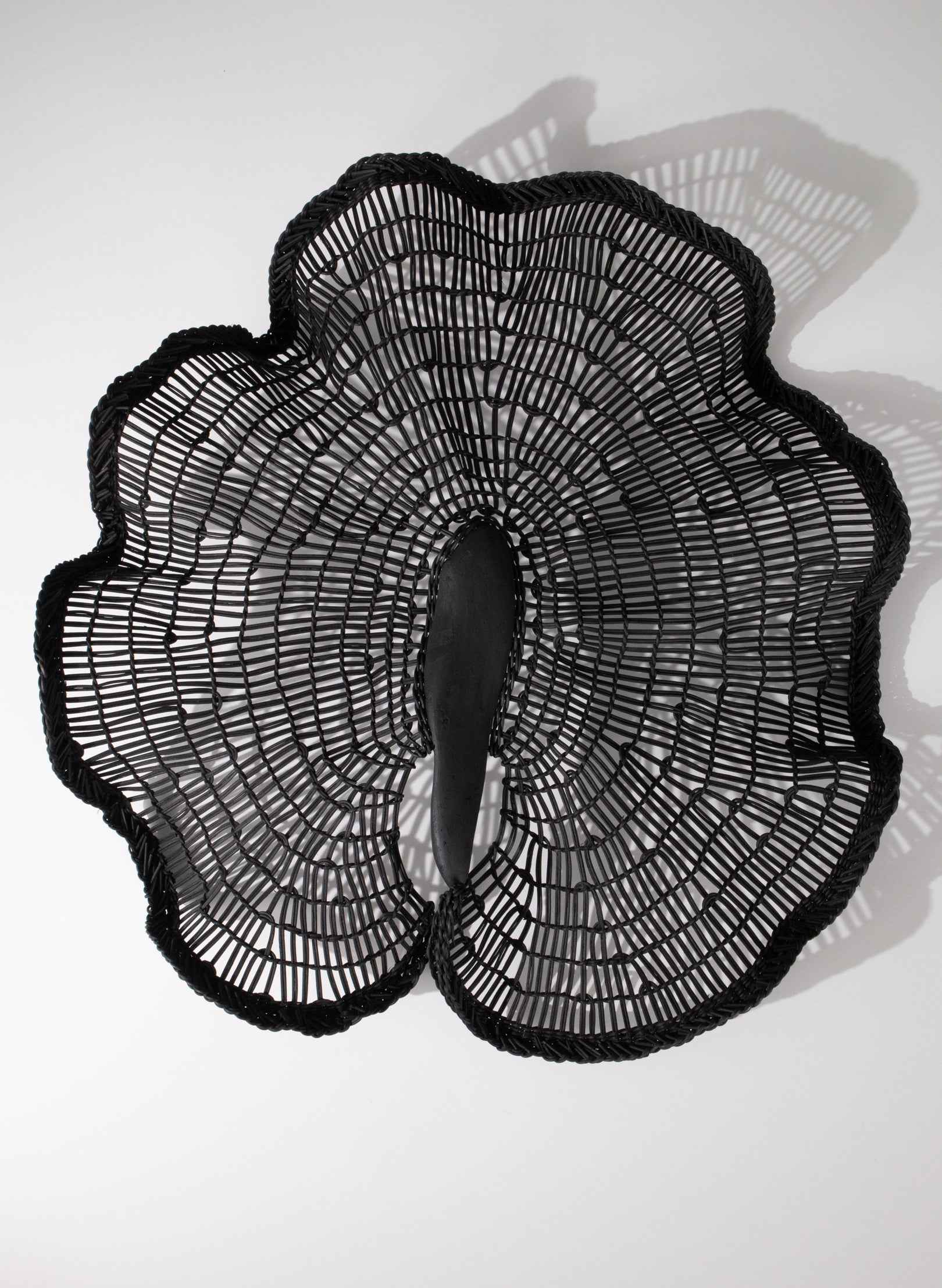 Flora