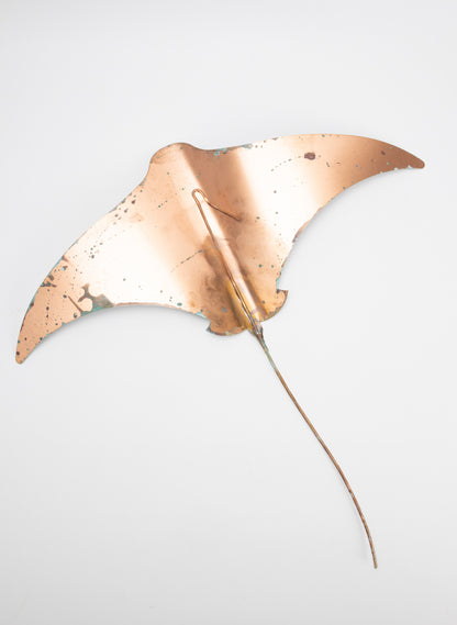 Pacific Stingray - XLarge