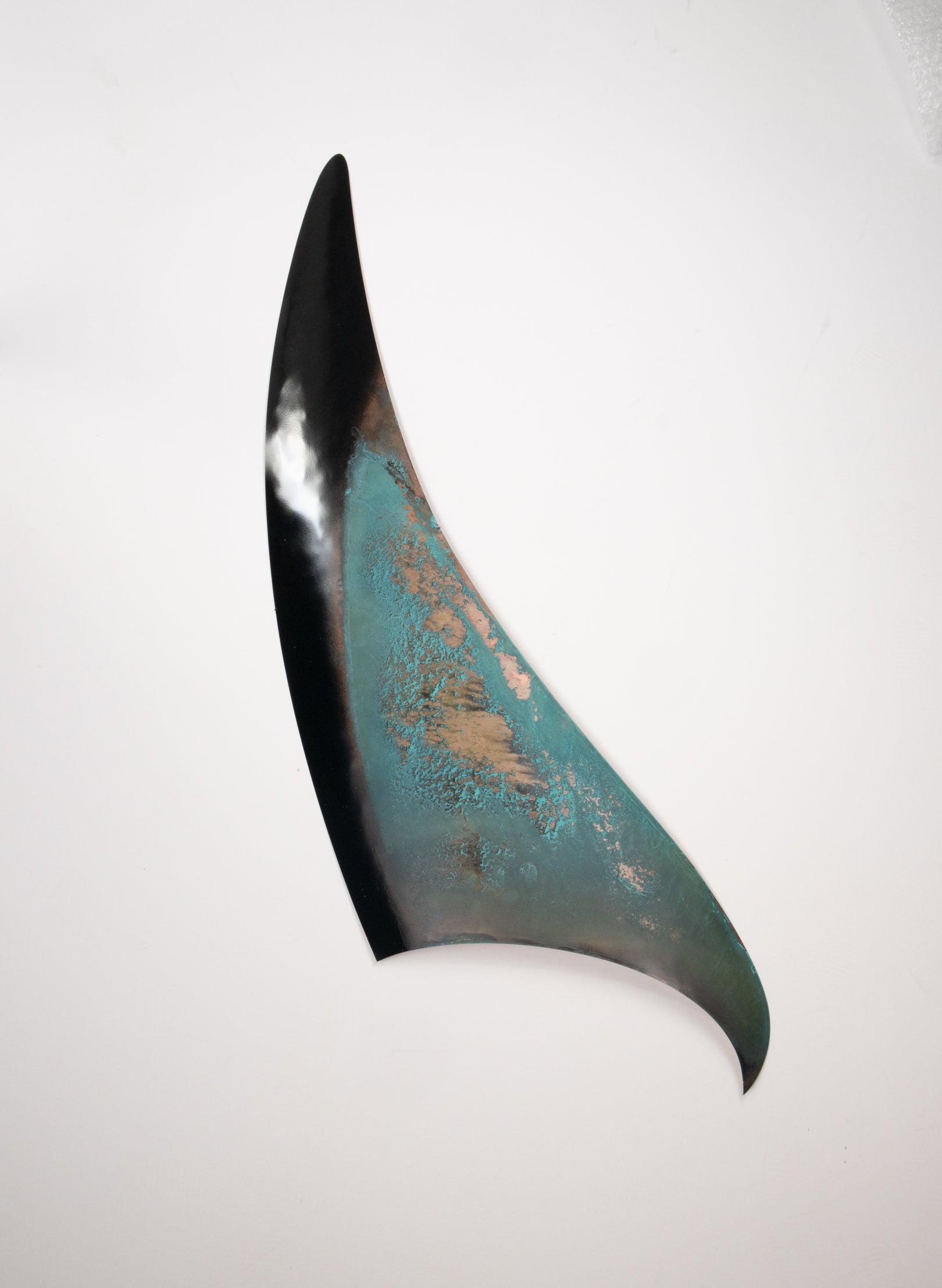 Orca Fin 