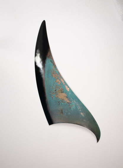 Orca Fin 