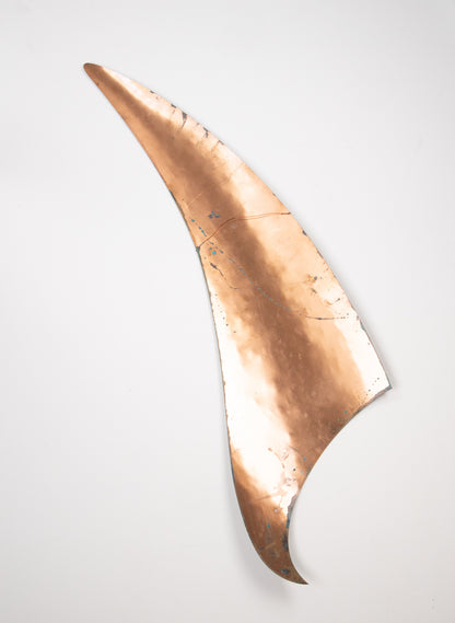 Orca Fin 