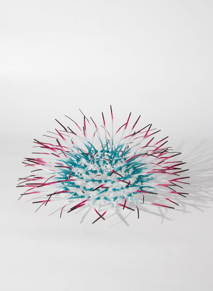 Mini Kina - Teal With Fuchsia Tips
