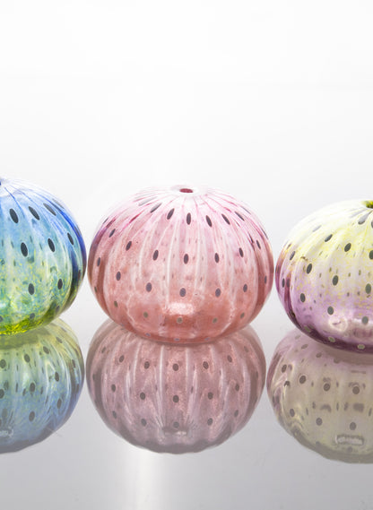 Sea Urchin - Pinks