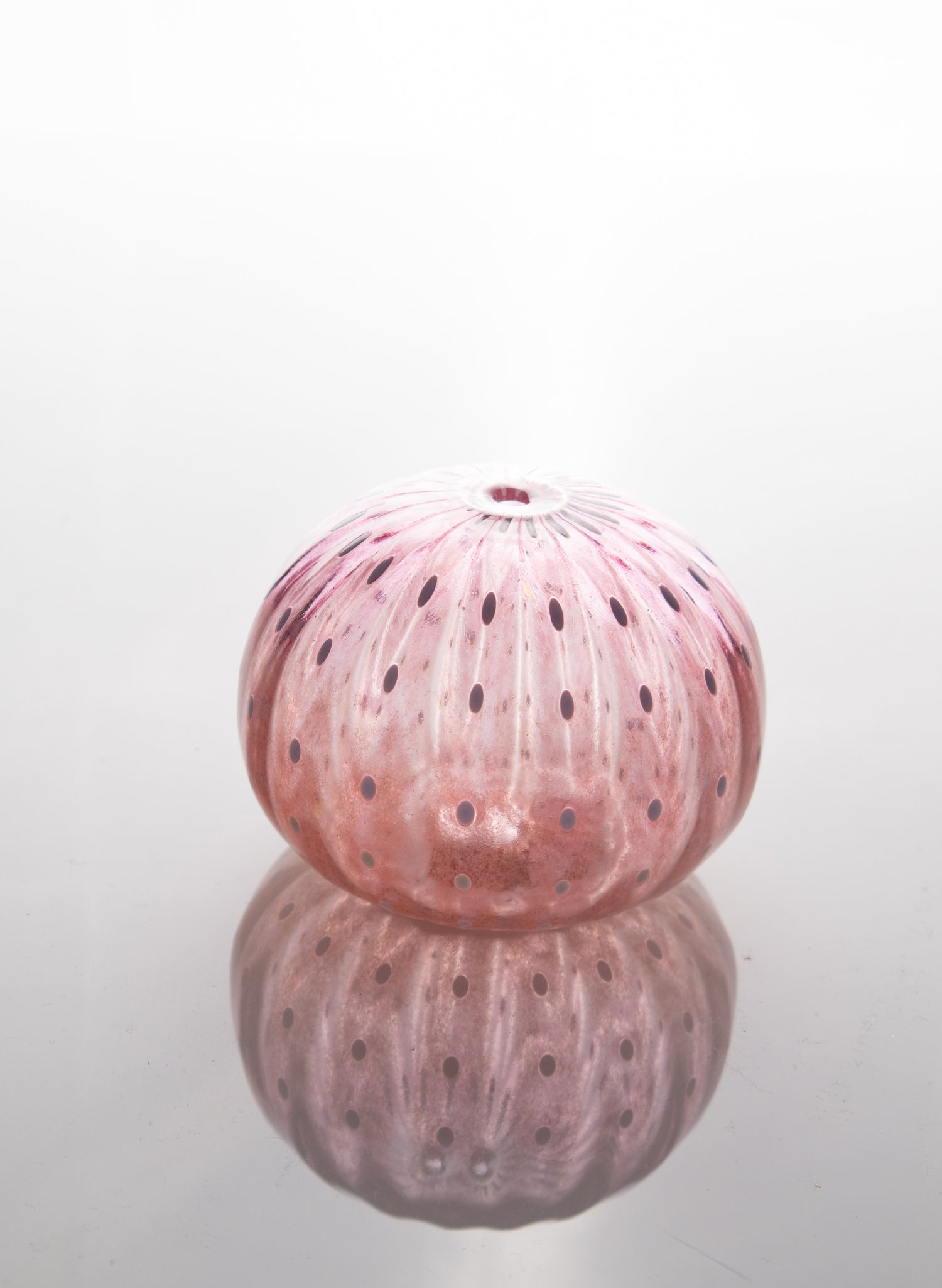 Sea Urchin - Pinks