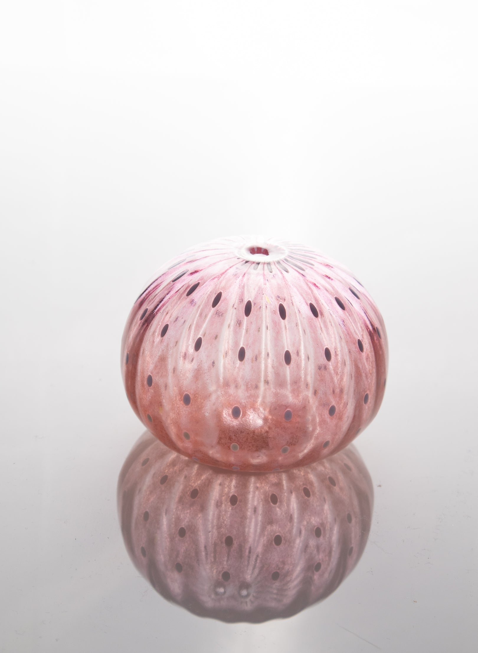 Sea Urchin - Pinks