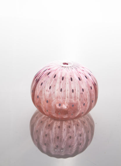 Sea Urchin - Pinks
