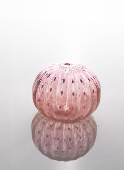 Sea Urchin - Pinks