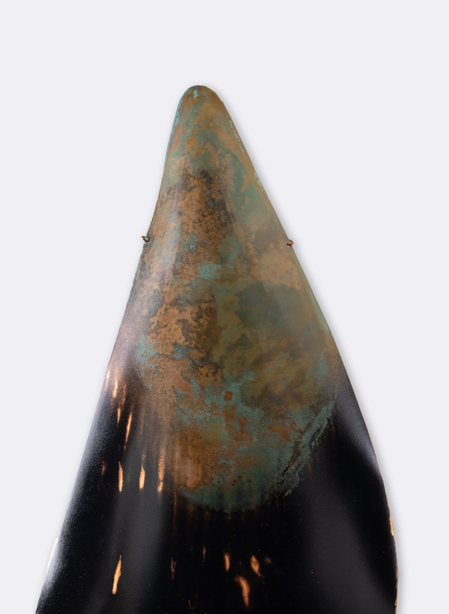 Small Mussel Shell 