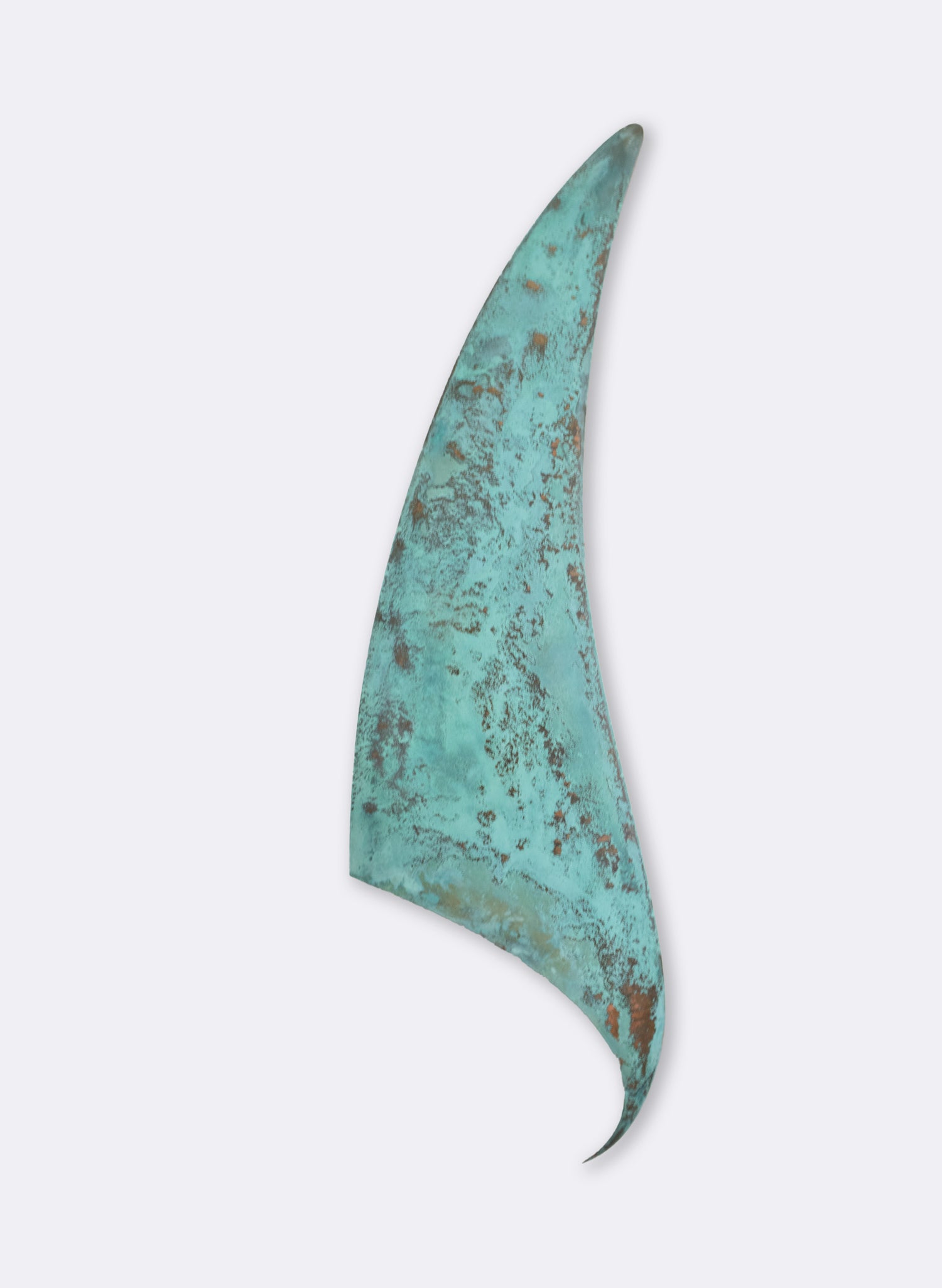 Orca Fin 