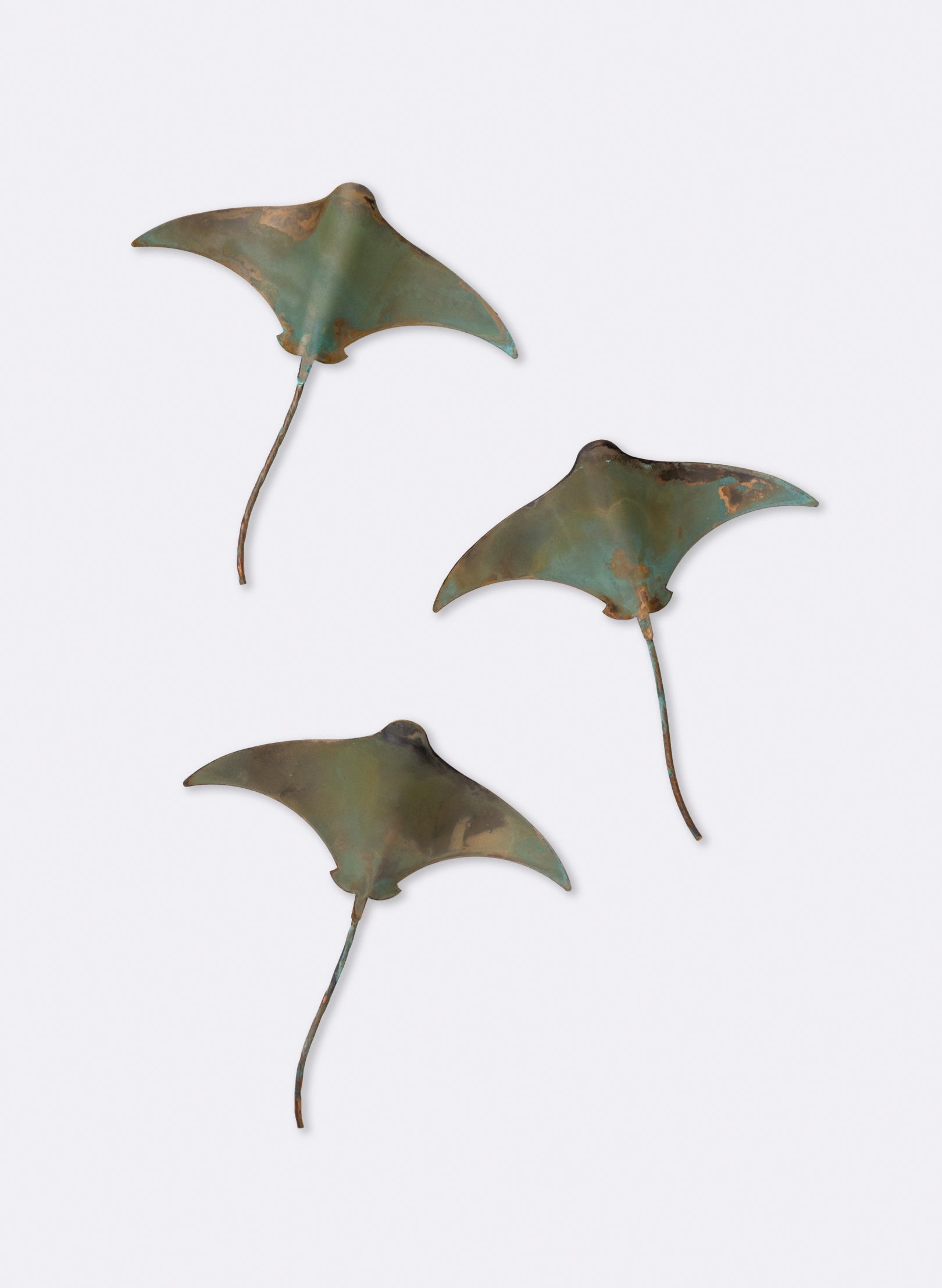 Stingray - Set of 3 