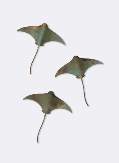 Stingray - Set of 3 