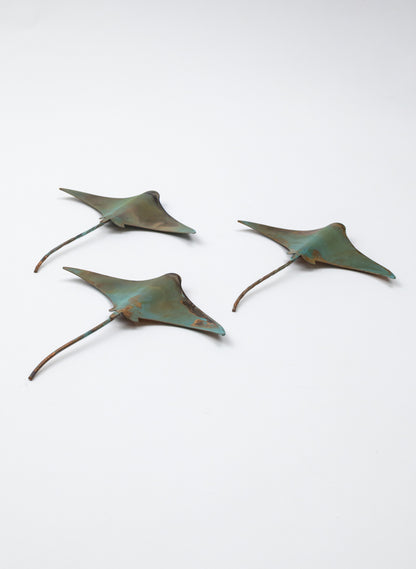 Stingray - Set of 3 