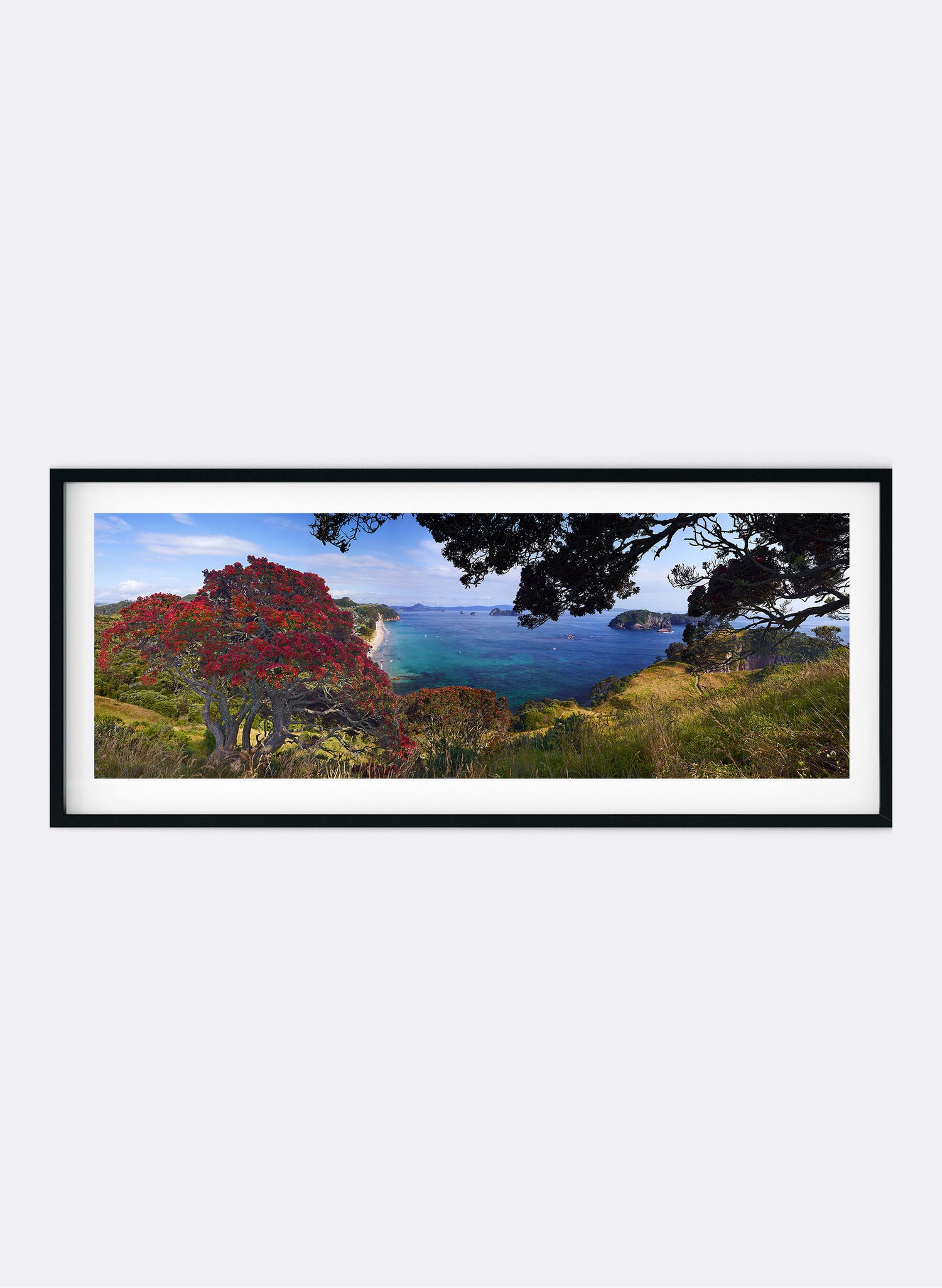 Blazing Beauty - Photographic Print