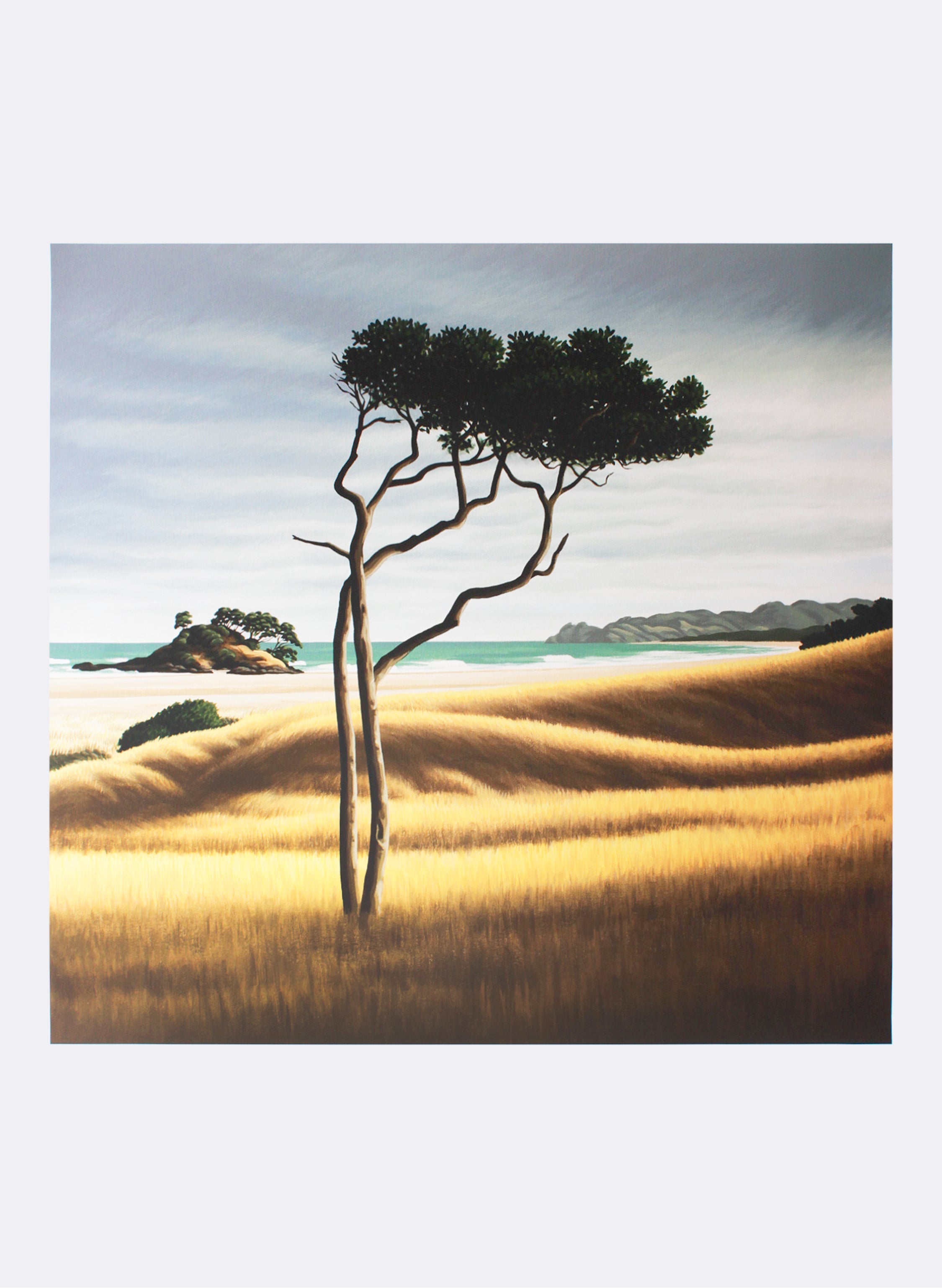 Karaka Ohui | Coromandel - Giclée Print - Small