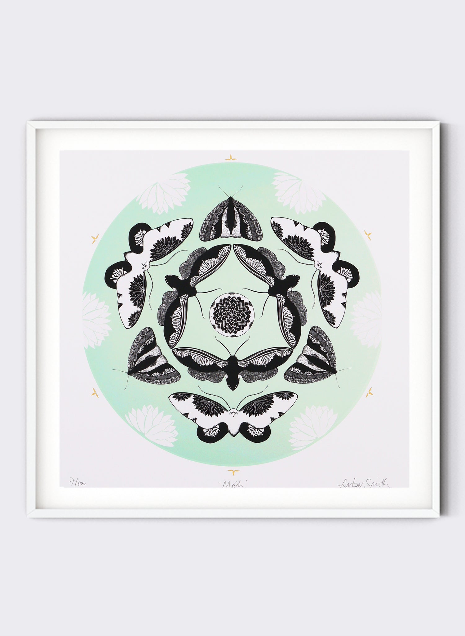 Moth - Giclée Print