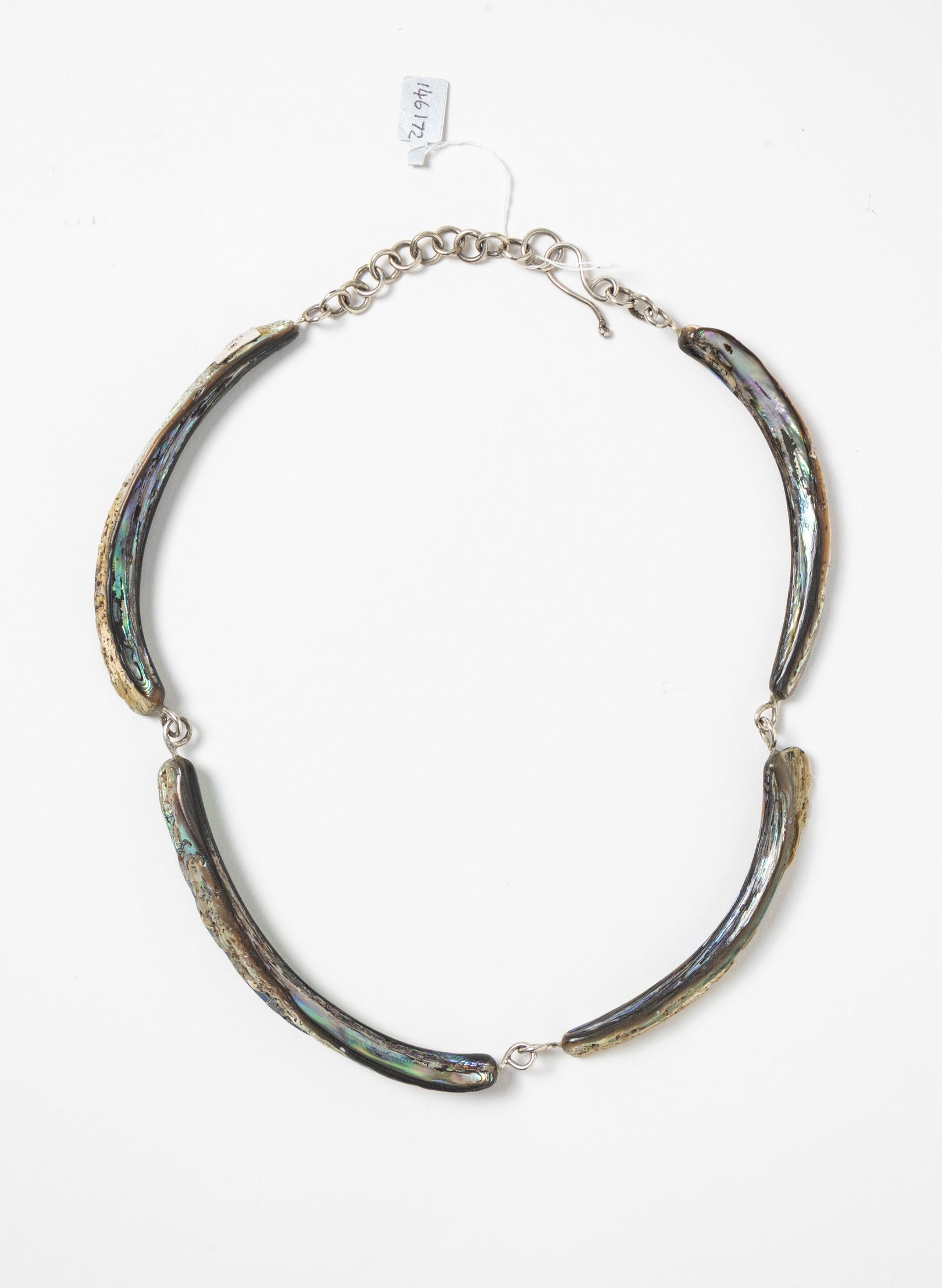 Paua Tusk Necklace