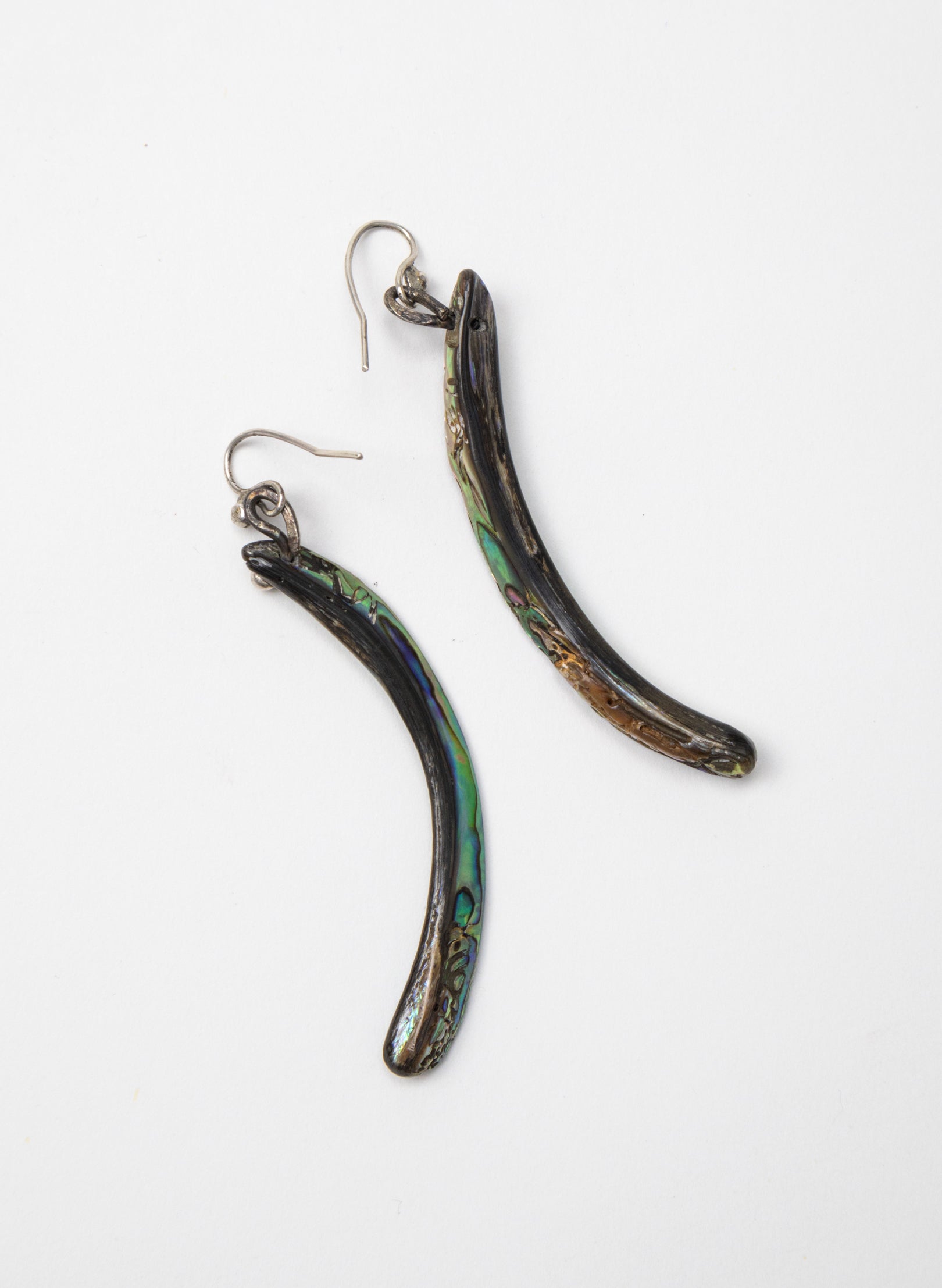 Paua Tusk Earrings