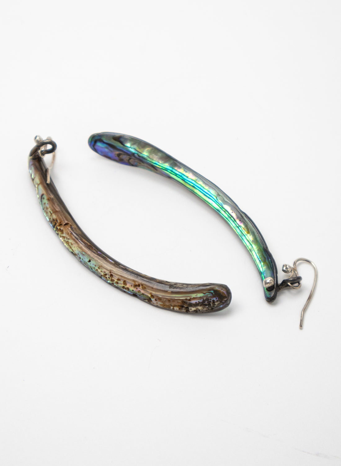Paua Tusk Earrings
