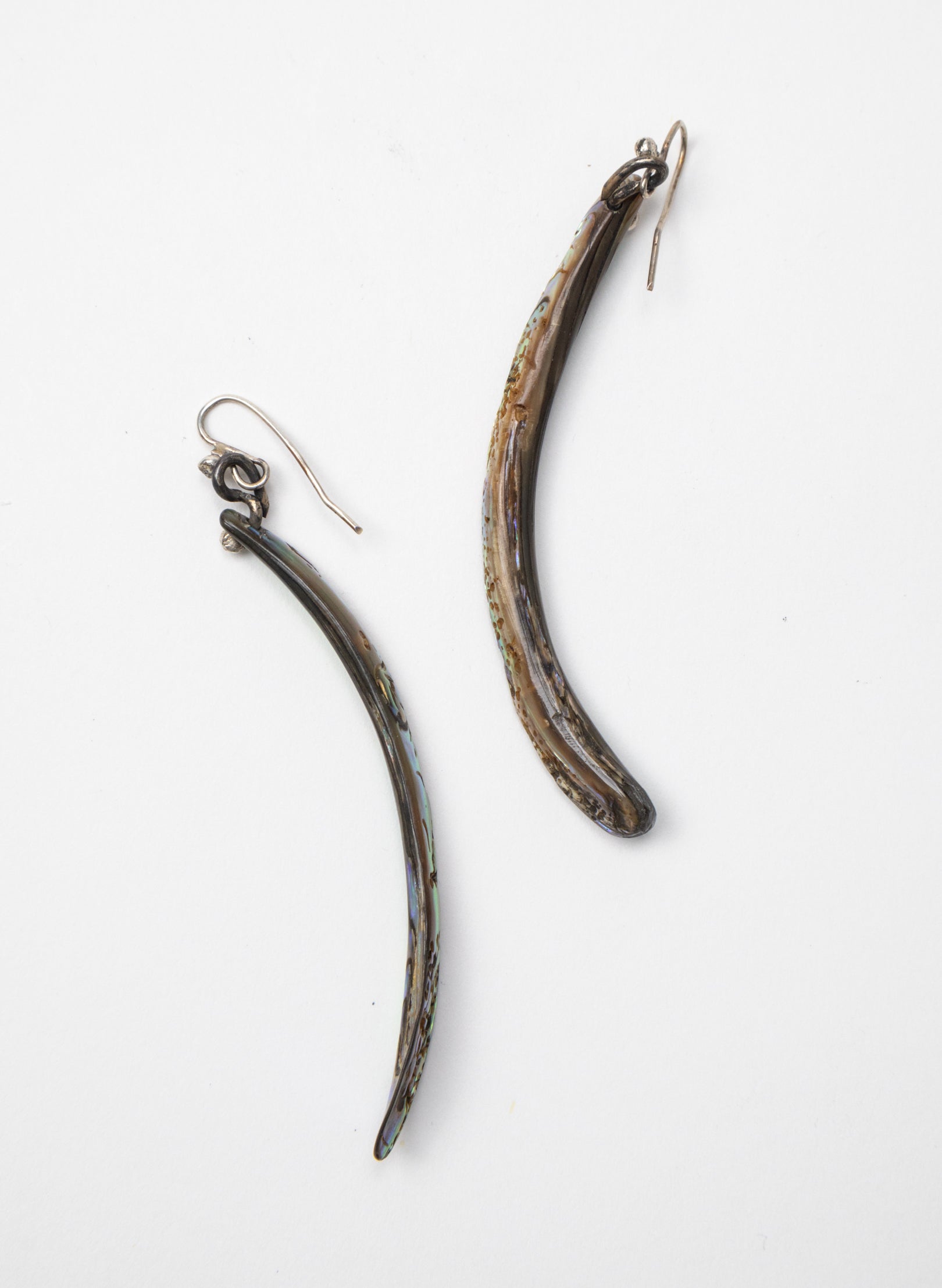 Paua Tusk Earrings