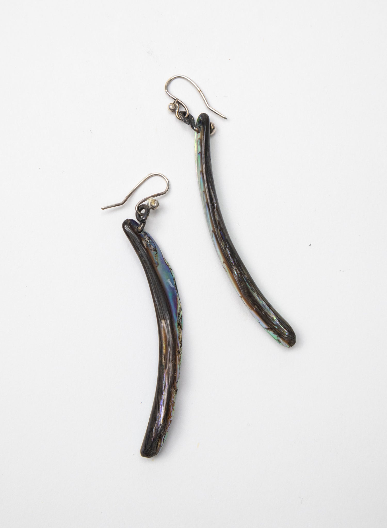 Paua Tusk Earrings