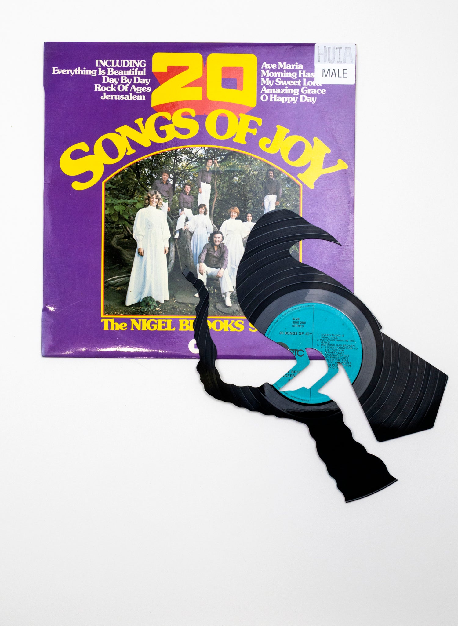 Single Male Huia | 20 Songs of Joy
