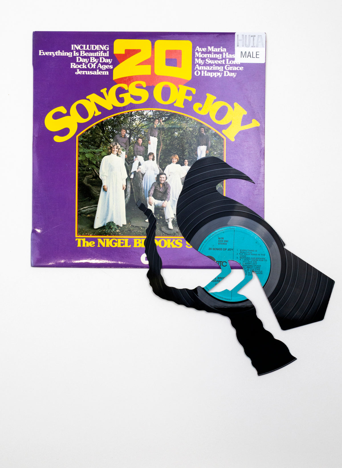 Single Male Huia | 20 Songs of Joy