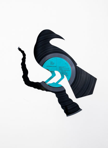 Single Male Huia | 20 Songs of Joy