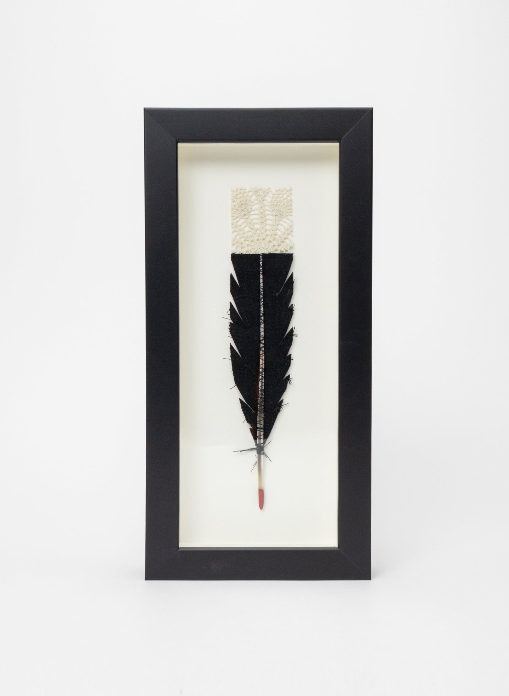 Single Huia Feather Framed