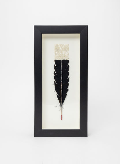 Single Huia Feather Framed