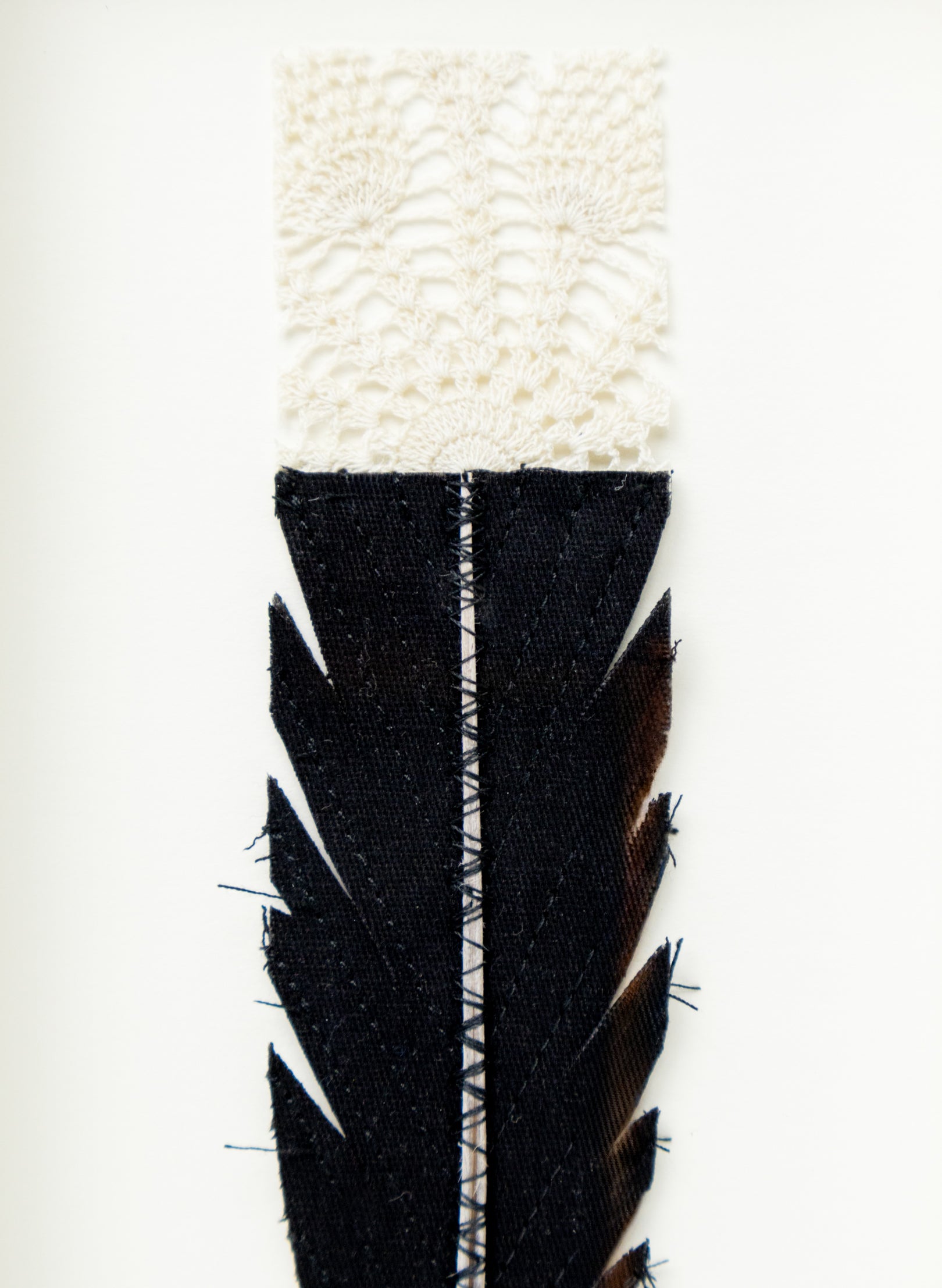 Single Huia Feather Framed