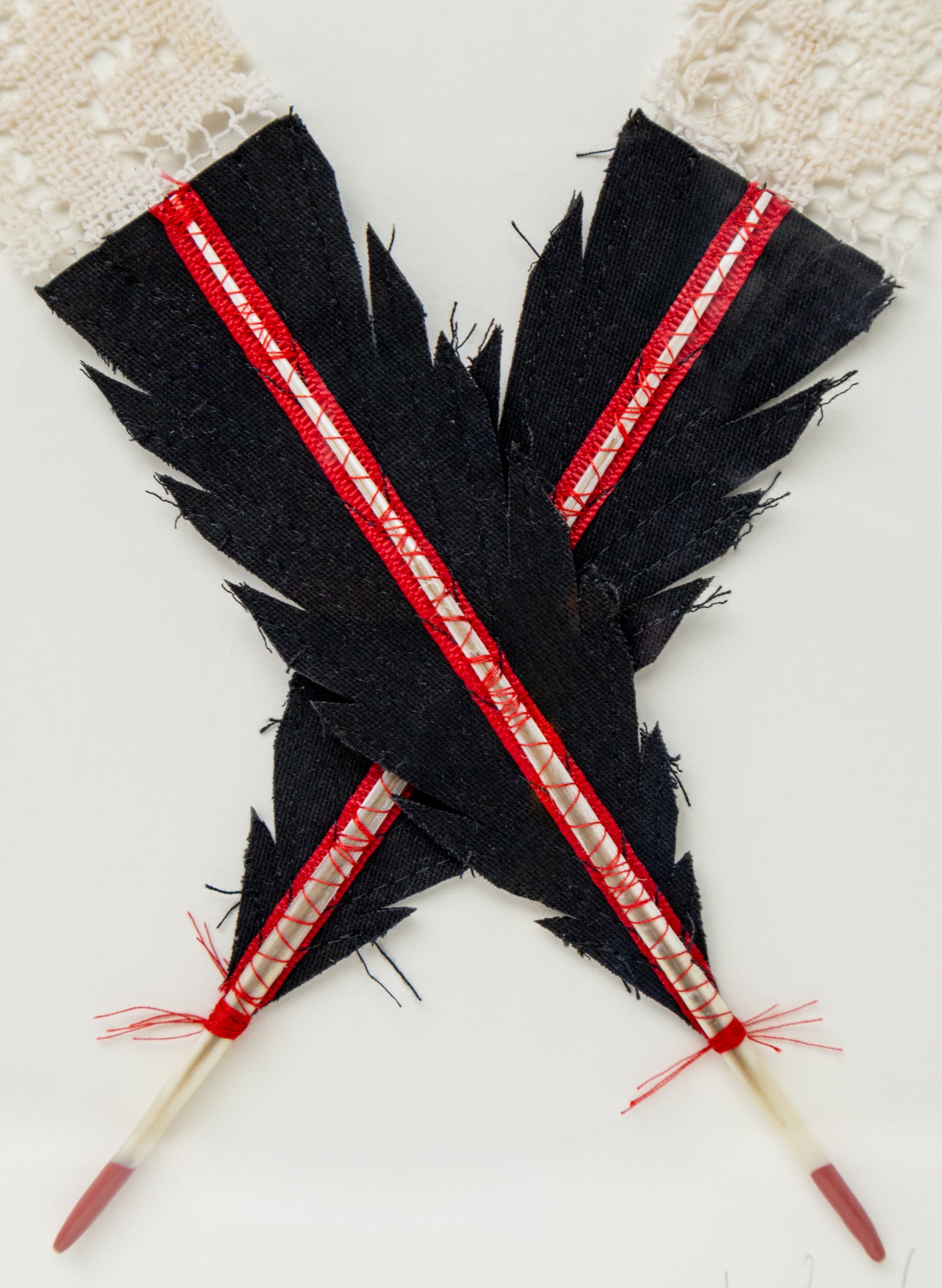 X Huia Feather Framed
