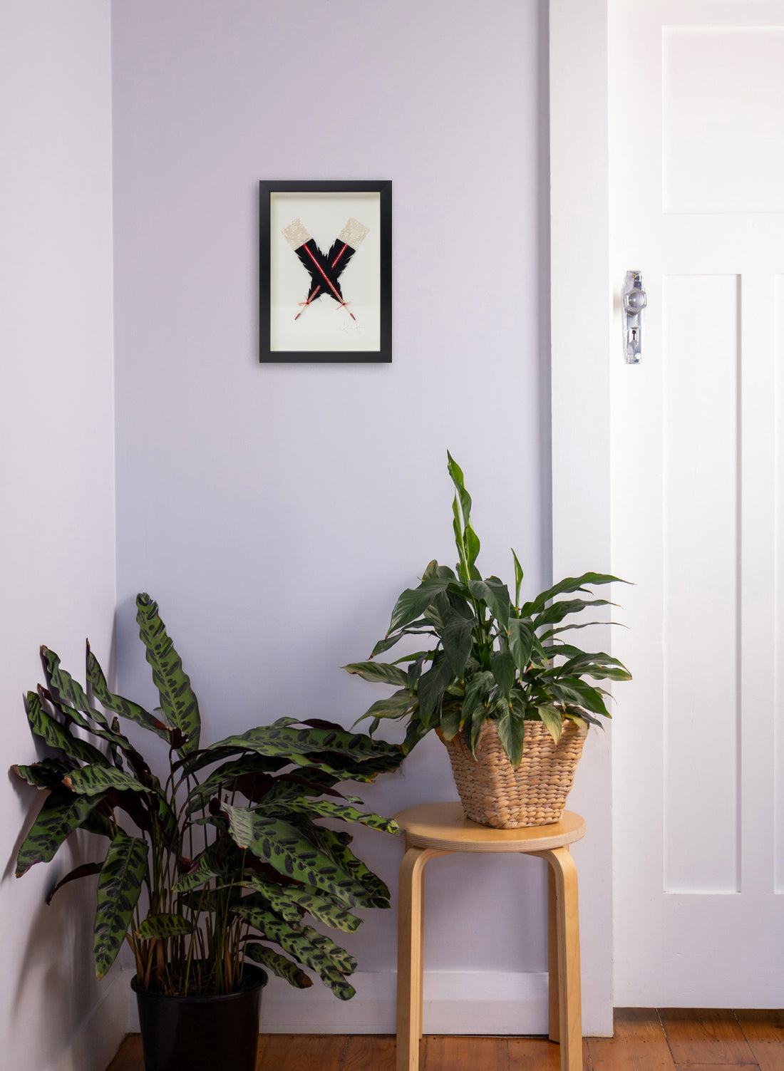 X Huia Feather Framed