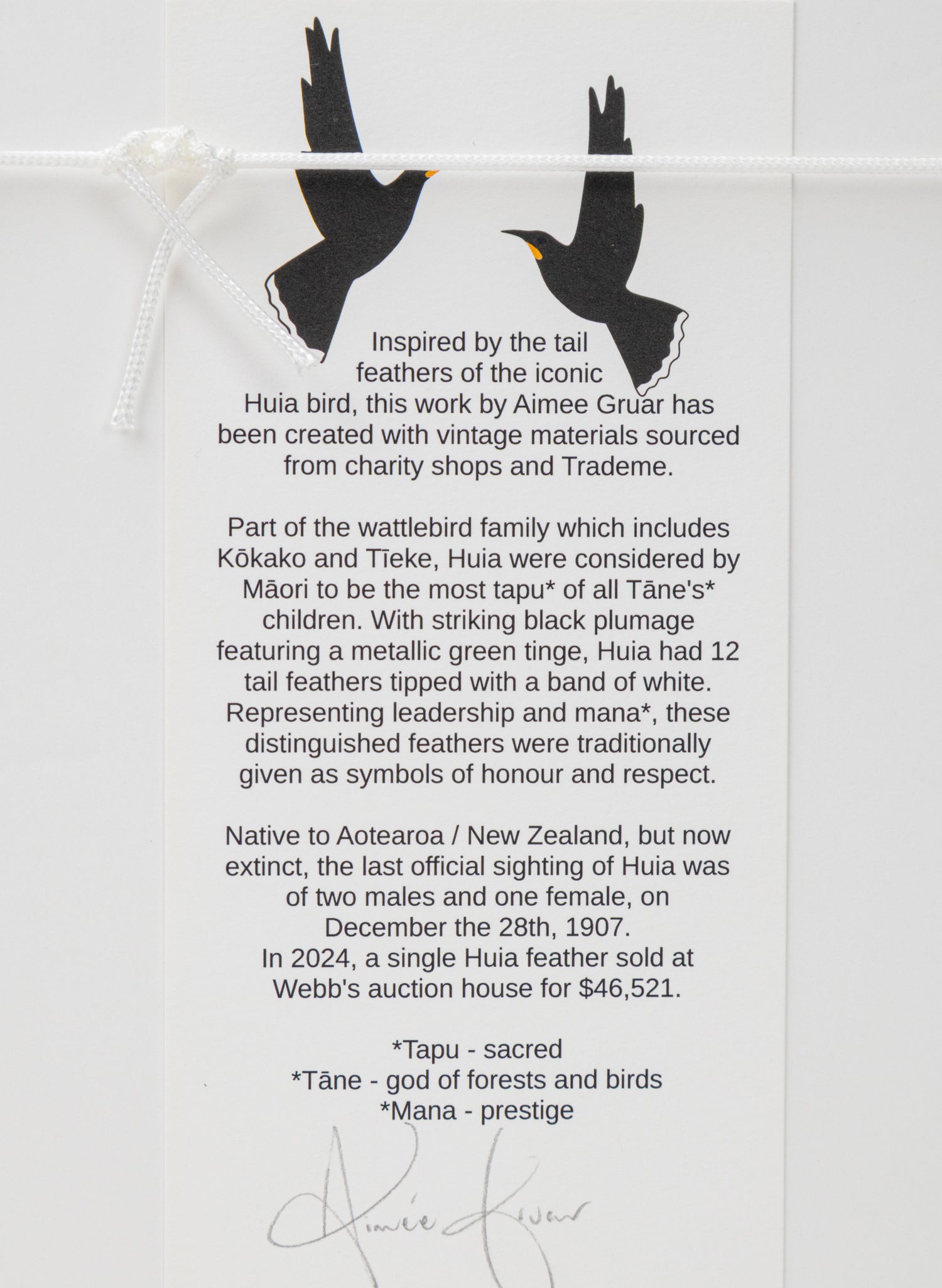 Single X Huia Feather Framed