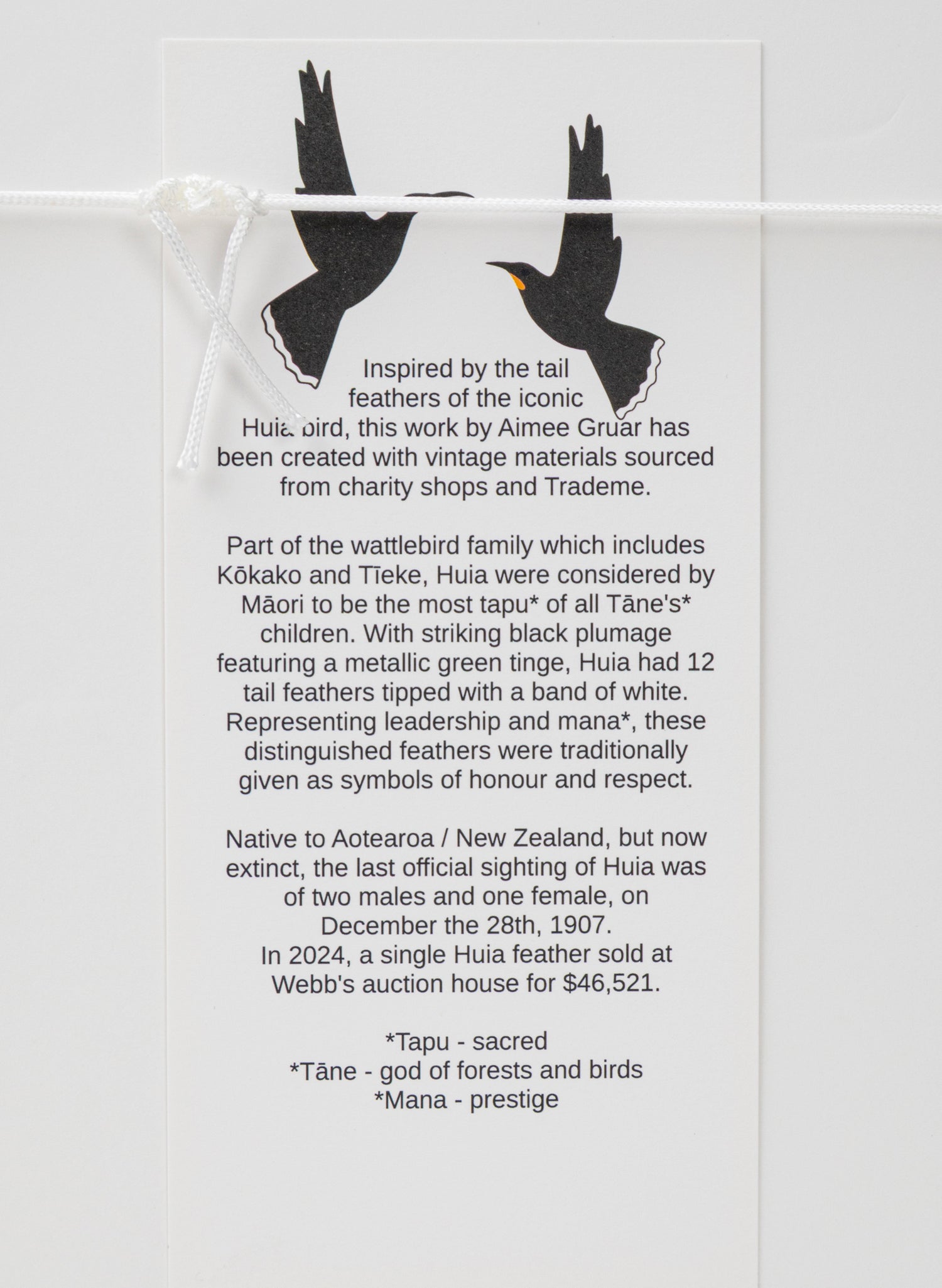 Single X Huia Feather Framed