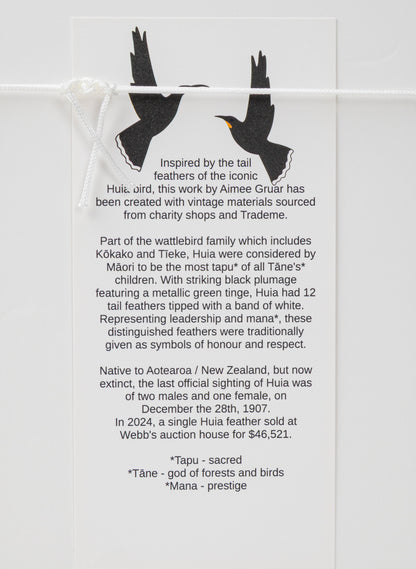 Single X Huia Feather Framed