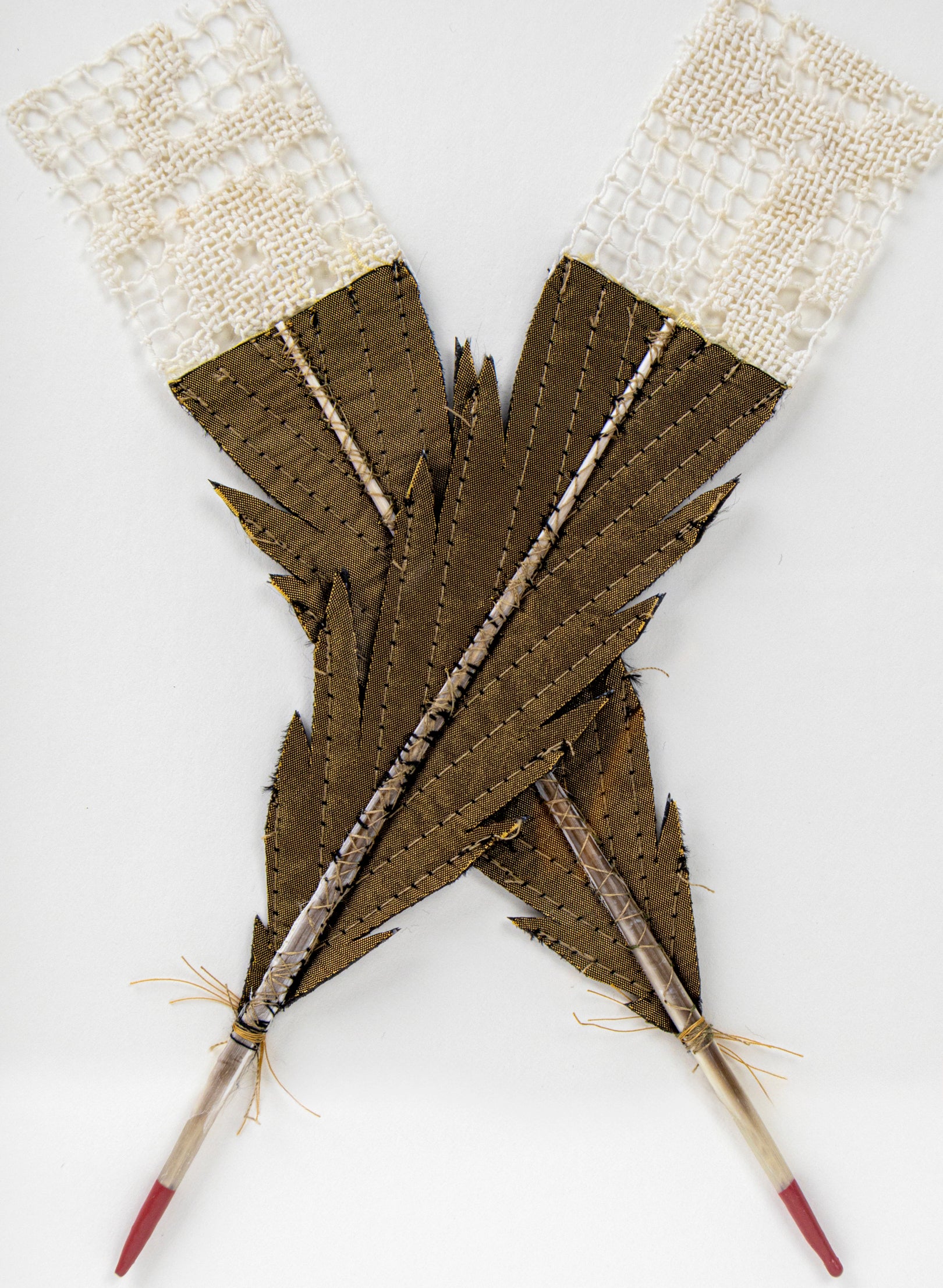 Single X Huia Feather Framed