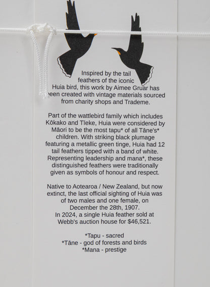 Single X Huia Feather Framed