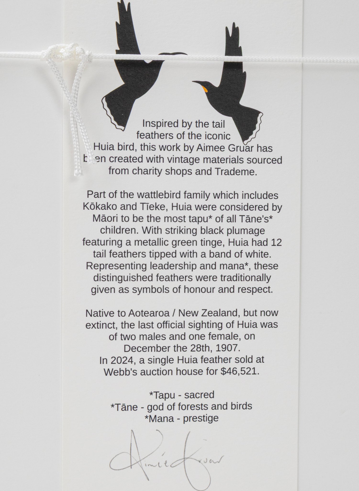 Single X Huia Feather Framed