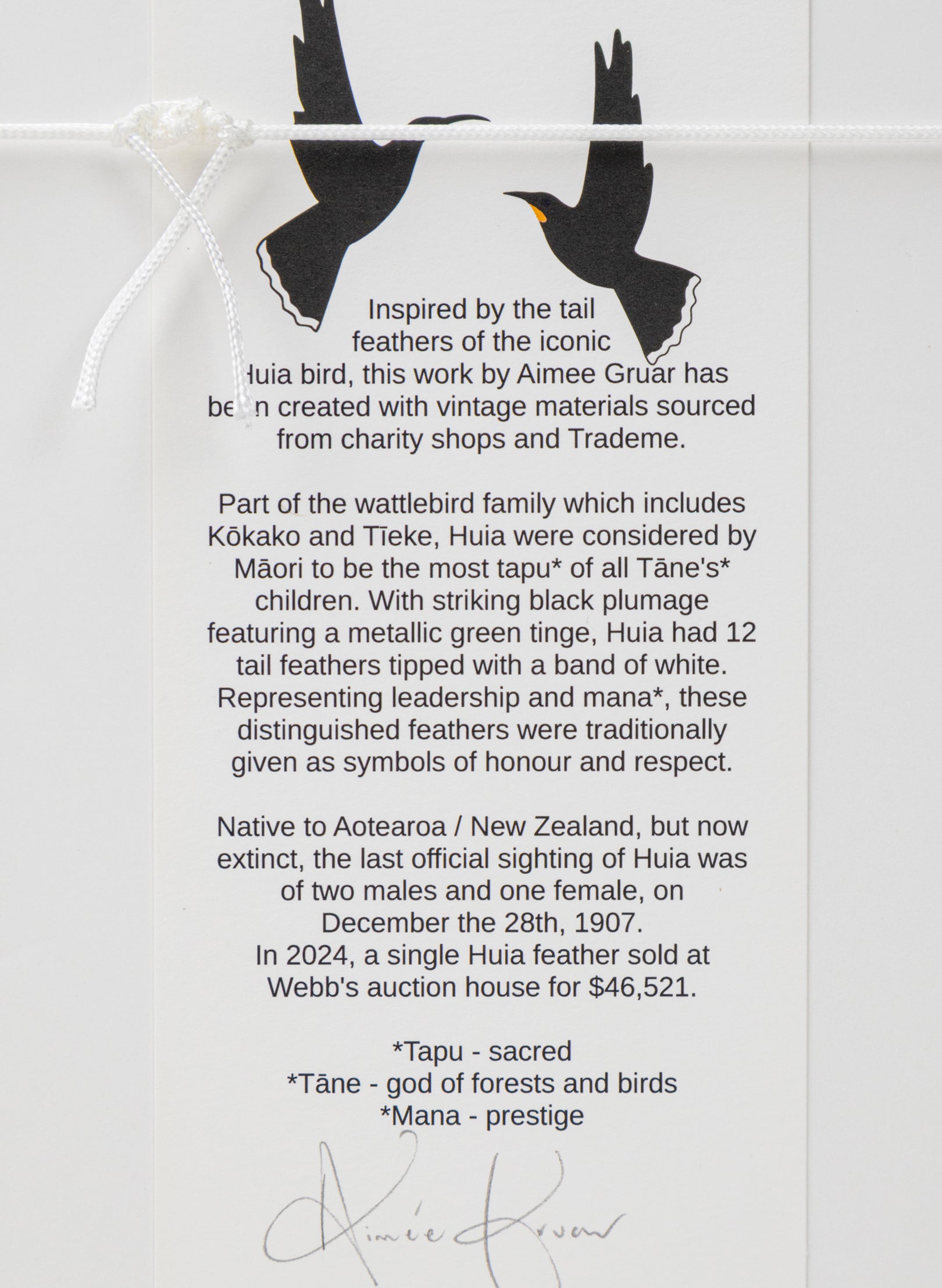 Single X Huia Feather Framed