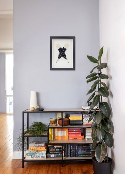 Single X Huia Feather Framed