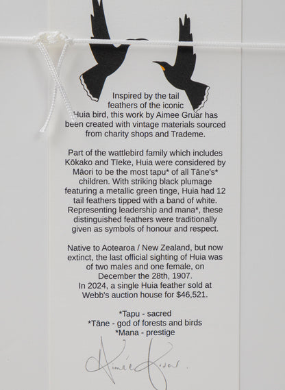 Single X Huia Feather Framed