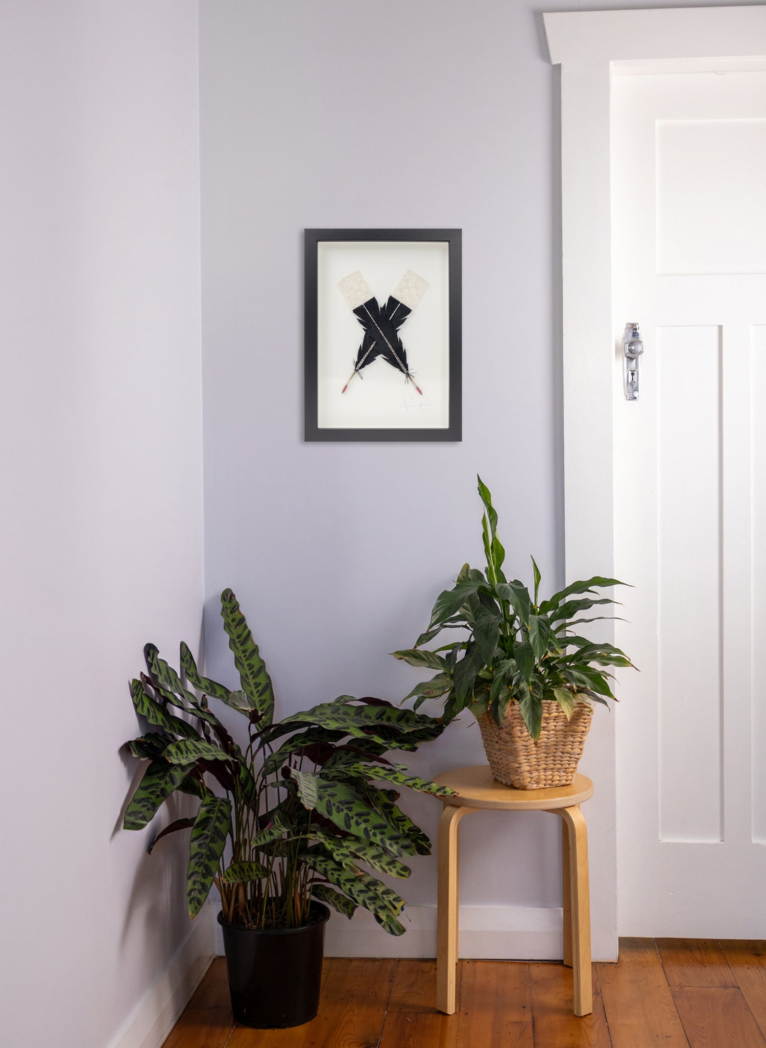 Single X Huia Feather Framed