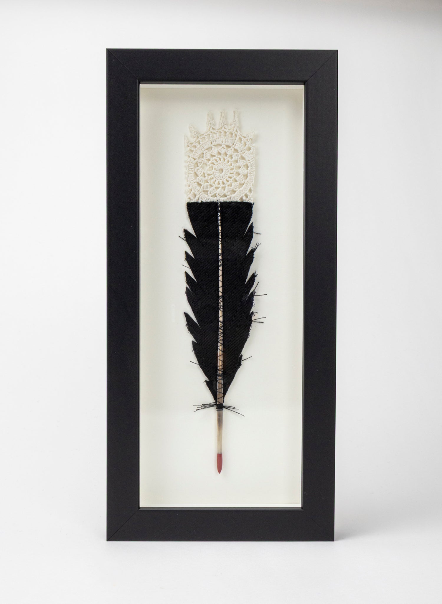Single Huia Feather Framed