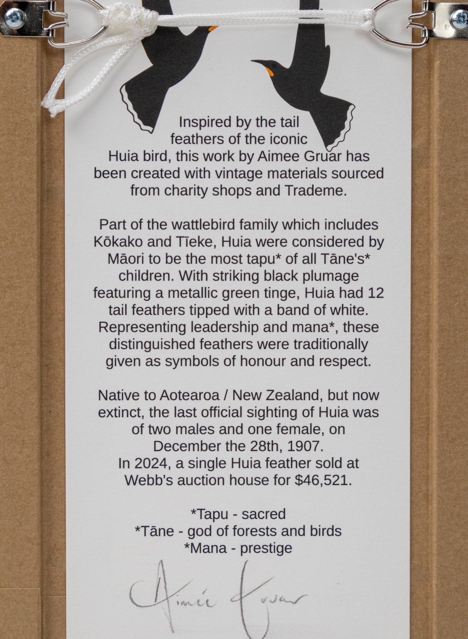 Single Huia Feather Framed