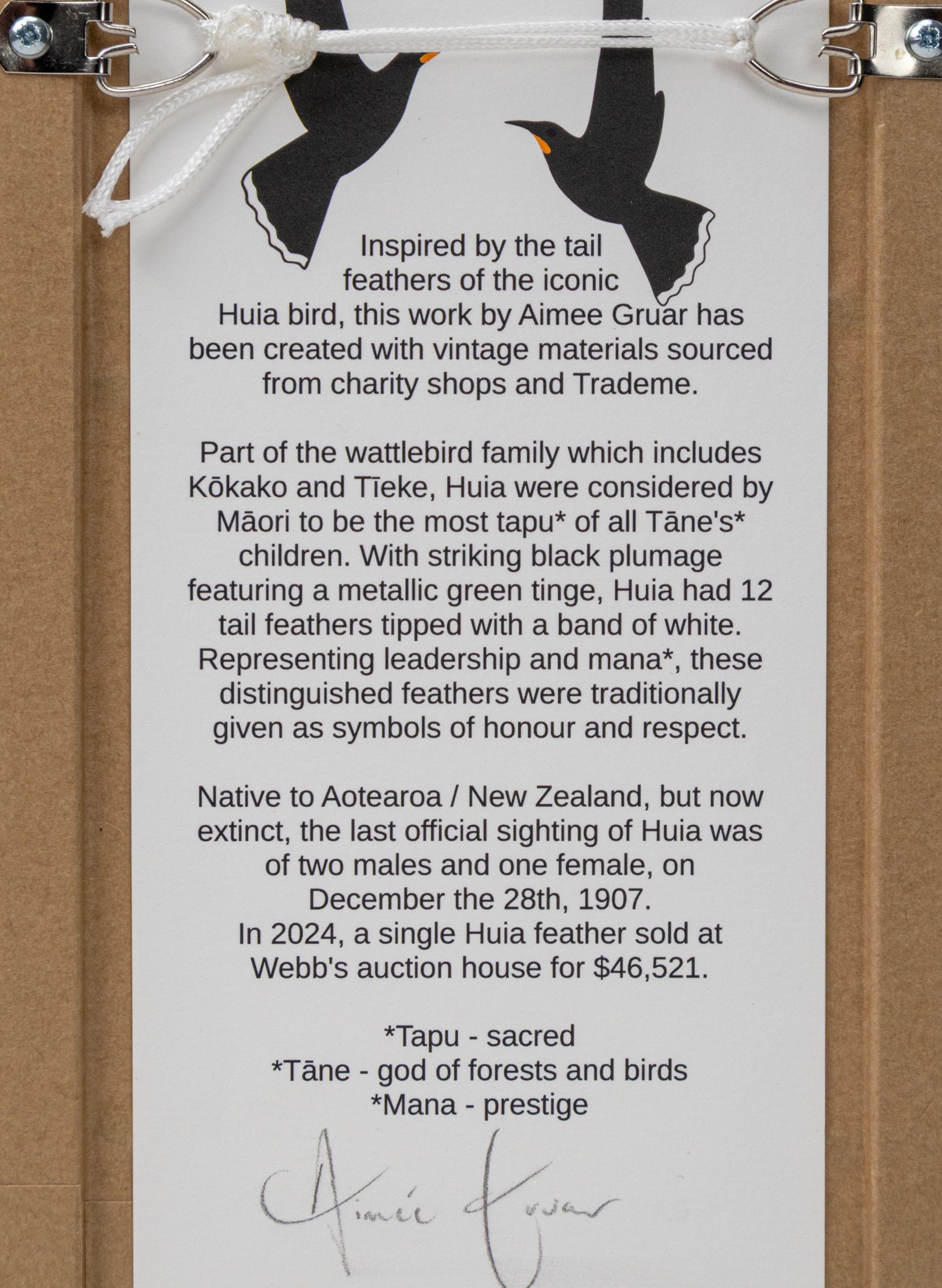 Single Huia Feather Framed