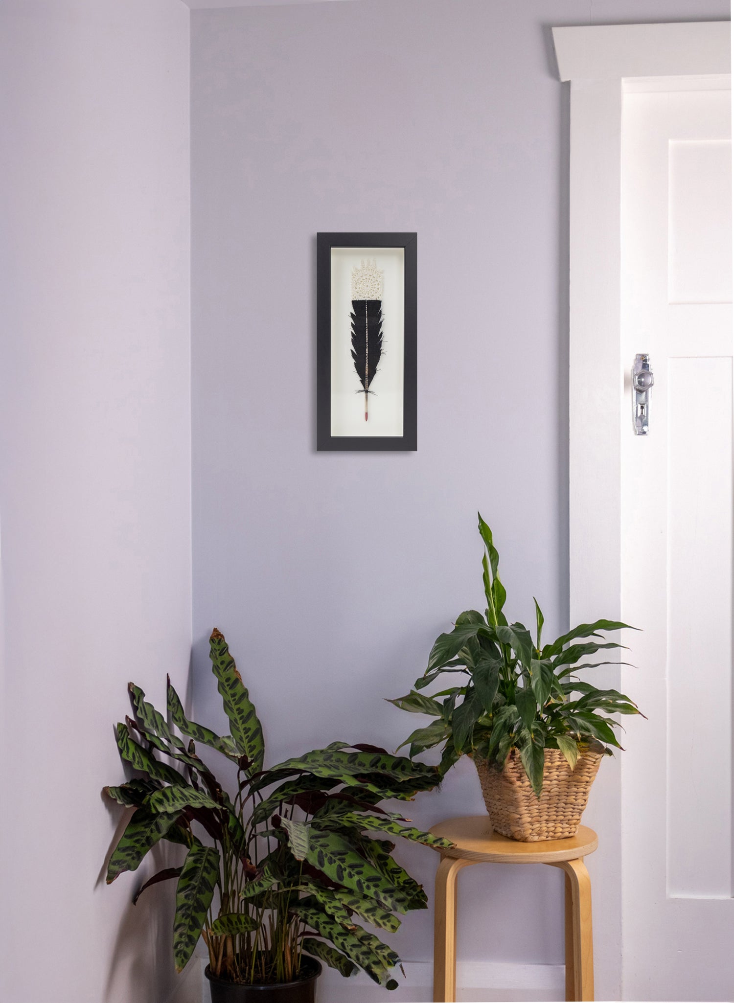 Single Huia Feather Framed