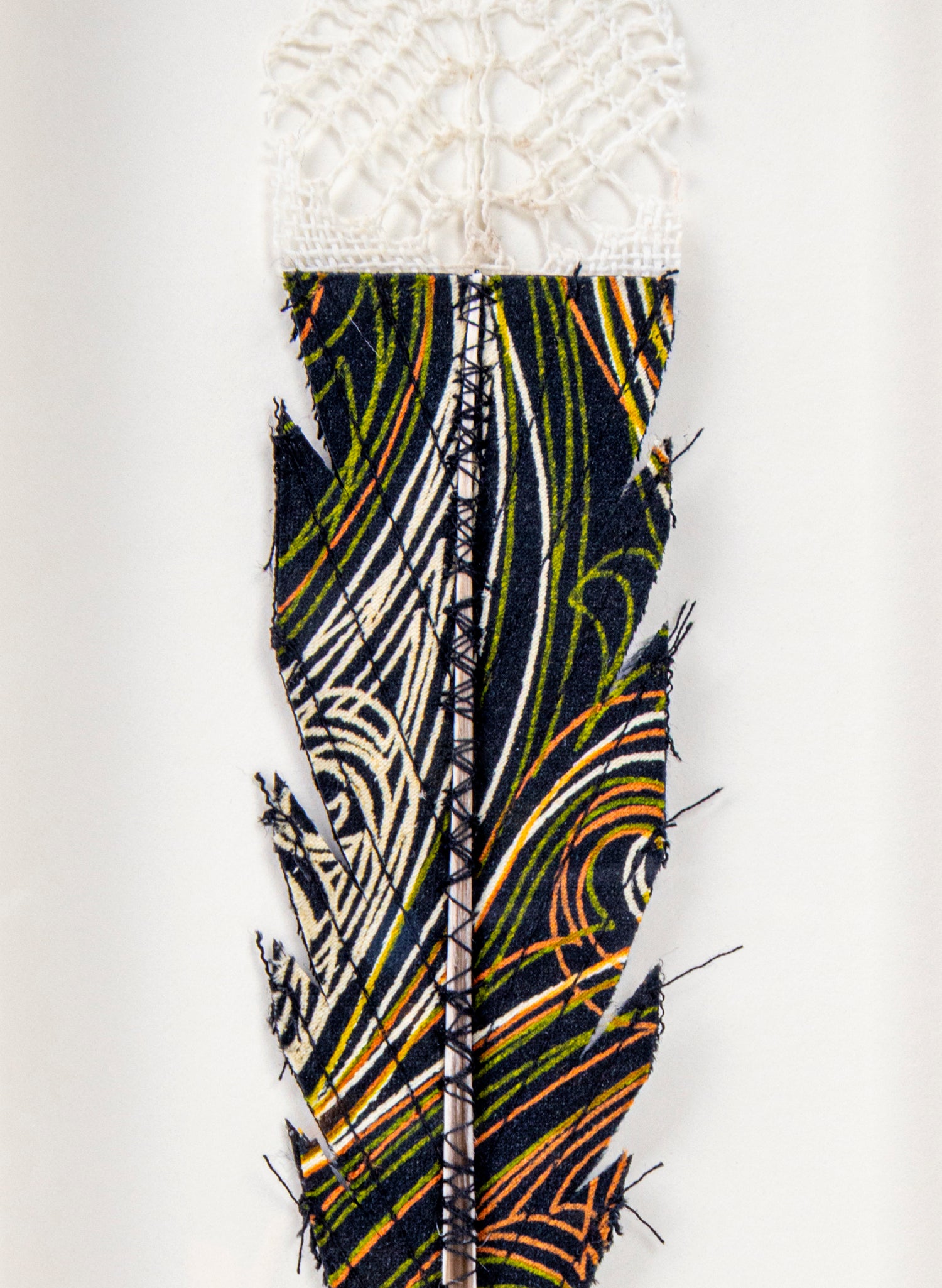 Single Huia Feather Framed