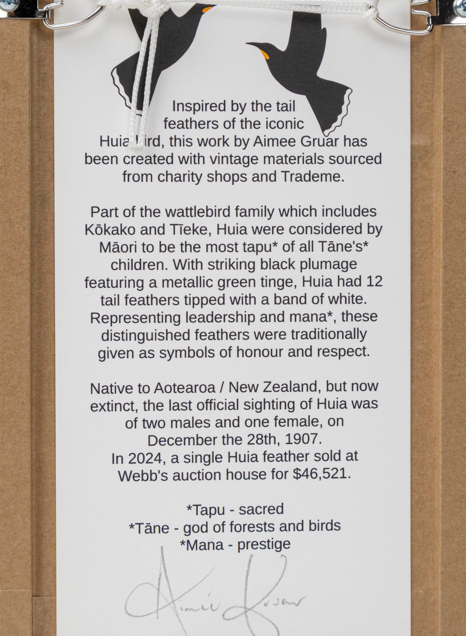 Single Huia Feather Framed