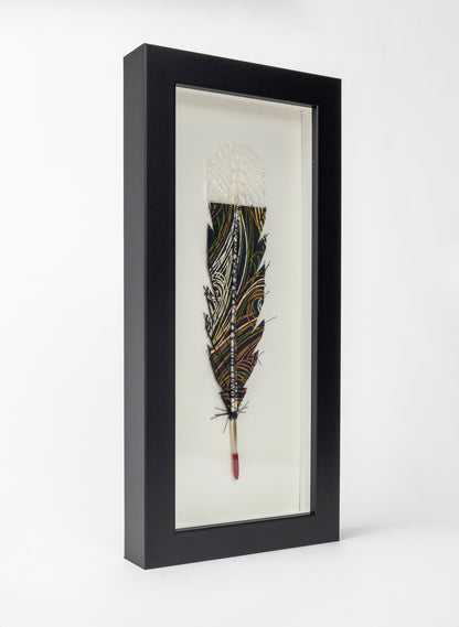 Single Huia Feather Framed